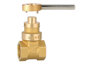 ������բ��